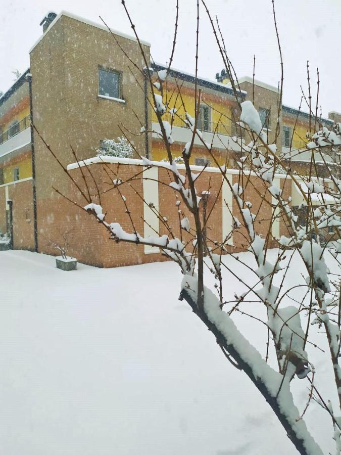 Apartment Alle 5 Torri